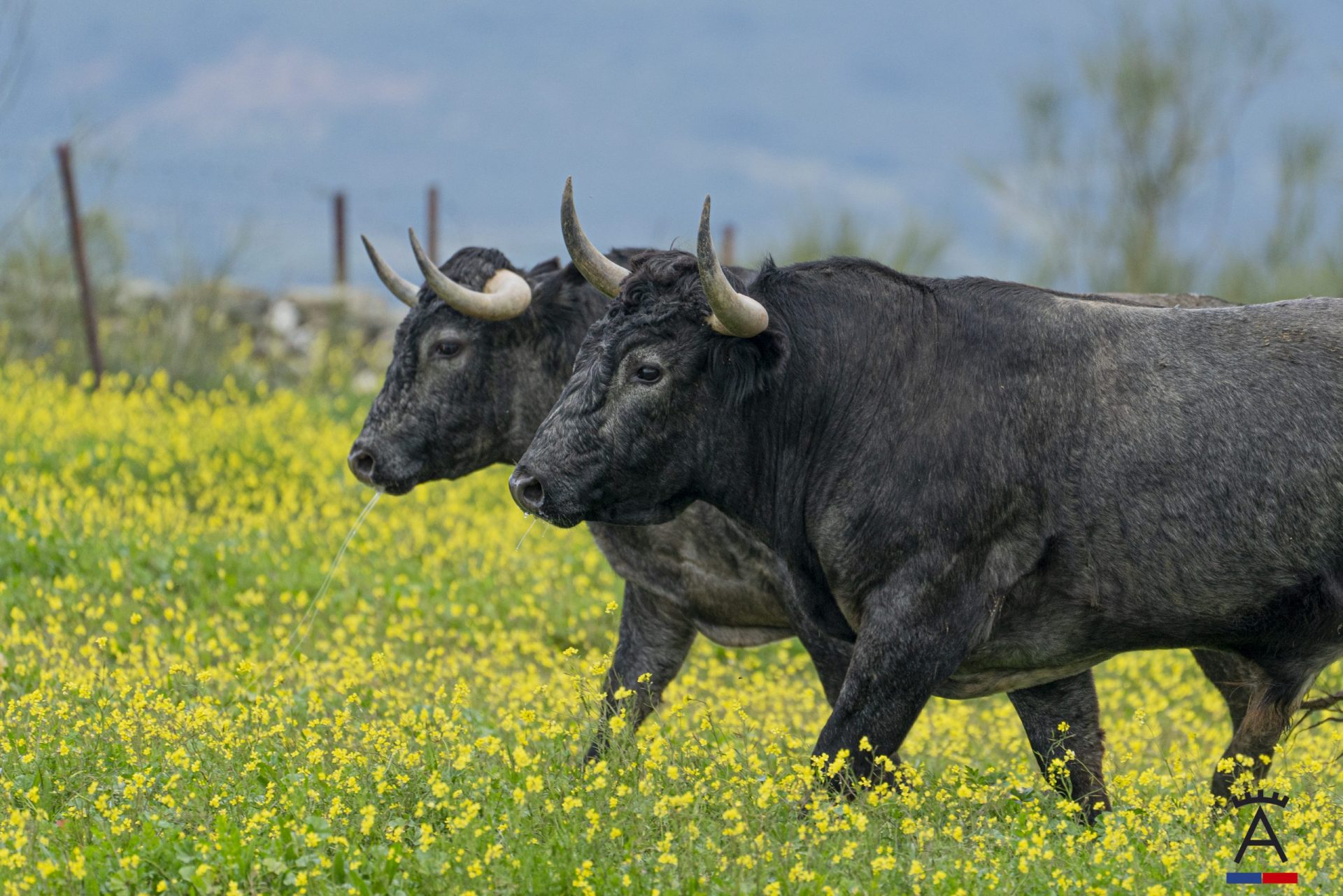 Grupo Victorino Martín 1 | Bodegas Victorino Martín